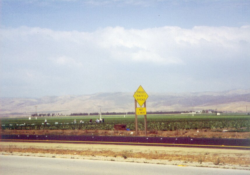 Fruitpickers - click to go back